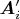 $\boldsymbol{A}_i'$