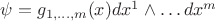 $\psi=g_{1,\ldots,m}(x)dx^1\wedge\ldots dx^m$
