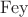 $\operatorname{Fey}$
