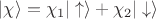 $| \chi \rangle = \chi_1 | \uparrow \rangle + \chi_2 | \downarrow \rangle$