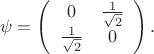 $$\psi=\left(\begin{array}{cc}0&\tfrac{1}{\sqrt{2}}\\\tfrac{1}{\sqrt{2}}&0\end{array}\right).$$