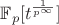 $\mathbb{F}_p [t^\frac{1}{p^\infty}]$