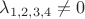 $\lambda_{1,2,3,4}\neq{0}$