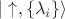 $\vert\uparrow,\{\lambda_i\}\rangle$