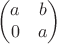 $$\begin{pmatrix}
a & b  \\
0 & a 
\end{pmatrix}$$