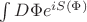 $\int D\Phi e^{iS(\Phi)}$