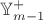 $\mathbb{Y}_{m-1}^+$