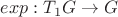 $exp: T_{1}G \rightarrow G$