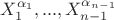 $X_{1}^{{{\alpha }_{1}}},...,X_{n-1}^{{{\alpha }_{n-1}}}$