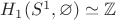 $H_1(S^1,\varnothing)\simeq\mathbb{Z}$