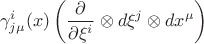 $$\gamma^{i}_{j \mu}(x) \left( \frac{\partial}{\partial \xi^i} \otimes d\xi^j \otimes dx^{\mu} \right)$$