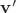 $\mathbf{v'}$