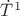 $\dot {T}^1$