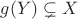 $g(Y) \subsetneq X$