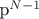 p^{N-1}