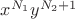 $x^{N_1} y^{N_2+1}$