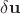 \delta \bf{u}