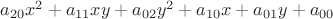 $a_{20}x^2+a_{11}xy+a_{02}y^2+a_{10}x+a_{01}y+a_{00}$