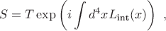 $$ S=T \exp\left( i \int d^4 x L_\text{int}(x) \right) ~, $$