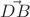 $\vec{DB}$
