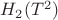 $H_2(T^2)$