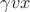 $\gamma vx$