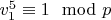 $v_1^5 \equiv 1 \mod p$