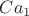 $Ca_1$