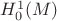 $H^1_0(M)$