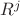 $R^j$