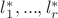 $l^{*}_{1},...,l^{*}_{r}$