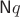 $\mathsf Nq$