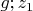 $g;z_1$