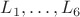 $L_1,\ldots,L_6$