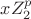$xZ_2^p$
