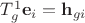 $T^1_g \mathbf e_i = \mathbf h_{gi}$