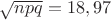 $\sqrt{npq}=18,97$