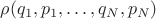 $\rho(q_1,p_1,\dots,q_N,p_N)$