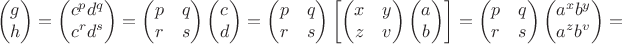 $$\begin{pmatrix}g\\h\end{pmatrix}=\begin{pmatrix}c^pd^q\\c^rd^s\end{pmatrix}=\begin{pmatrix}p&q\\r&s\end{pmatrix}\begin{pmatrix}c\\d\end{pmatrix}=\begin{pmatrix}p&q\\r&s\end{pmatrix}\left[\begin{pmatrix}x&y\\z&v\end{pmatrix}\begin{pmatrix}a\\b\end{pmatrix}\right]=\begin{pmatrix}p&q\\r&s\end{pmatrix}\begin{pmatrix}a^xb^y\\a^zb^v\end{pmatrix}=$$