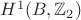 $H^1(B,\mathbb Z_2)$