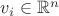 $v_i \in \mathbb{R}^n$