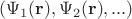 $(\Psi_1(\mathbf r),\Psi_2(\mathbf r),...)$