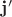 $\mathbf{j'}$