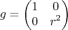 $$g=\begin{pmatrix}1&  0 \\ 0&  r^2  \end{pmatrix}$$