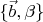 $\{ \vec b , \beta \}$