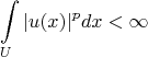 $$ \int\limits_U |u(x)|^p dx < \infty$$