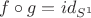 $f\circ g=id_{S^1}$