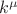 $k^{\mu}$
