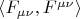 $\langle F_{\mu\nu},F^{\mu\nu}\rangle$