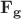 $\mathbf{F_g}$